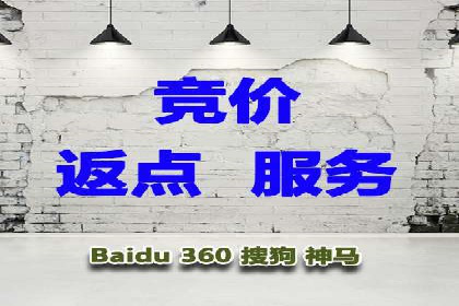 案例展示：SEM推广助力品牌知名度提升