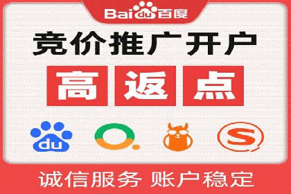 百度SEO推广公司案例分析：成功案例解析