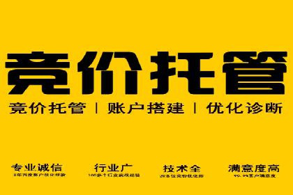 百度竞价SEM案例：揭秘高效广告投放技巧